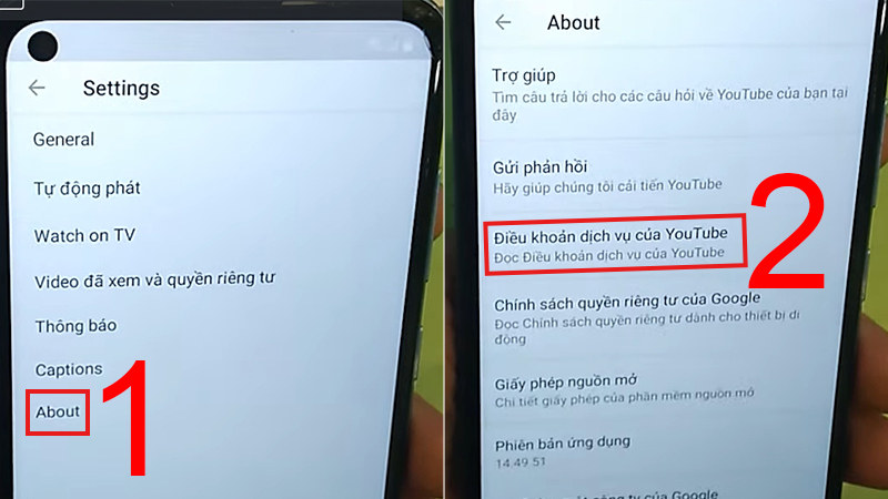 Vào Điều khoản dịch vụ của YouTube