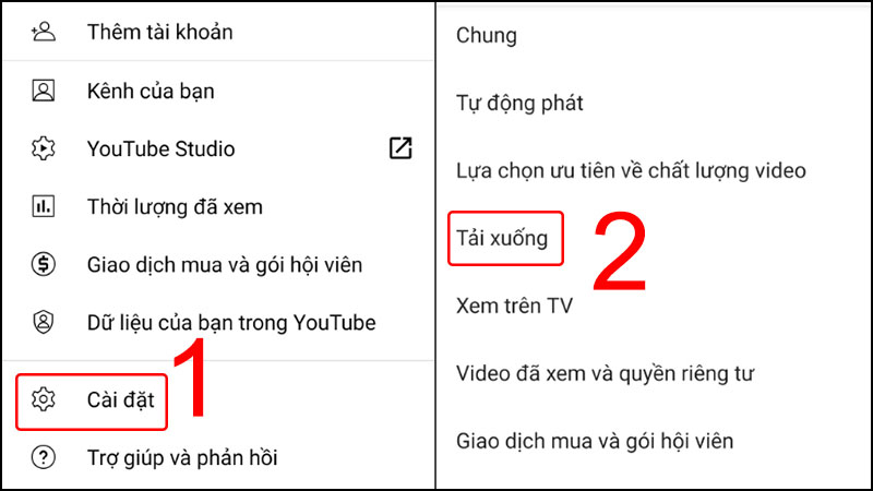 Tùy chọn tải xuống video YouTube